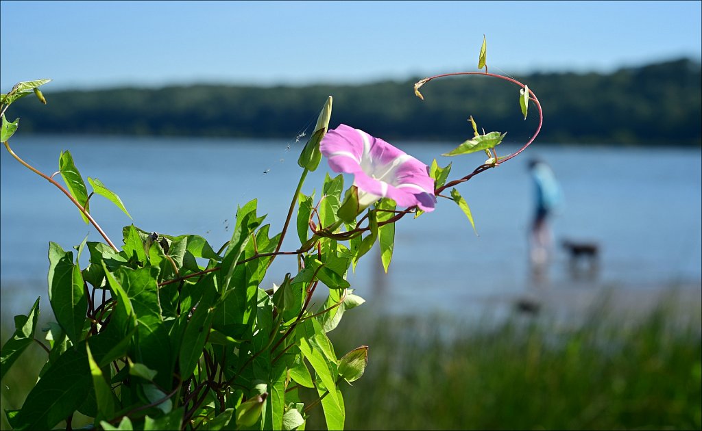 Saugerties Lighthouse & Ruth Reynolds Glunt Nature Preserve
