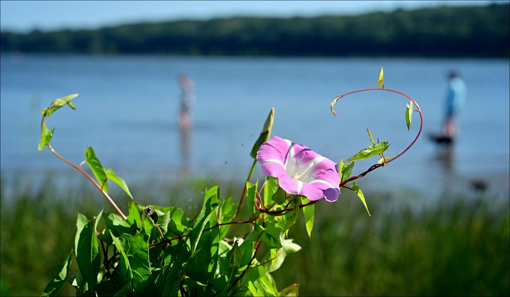 Saugerties Lighthouse & Ruth Reynolds Glunt Nature Preserve