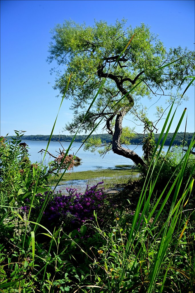 Saugerties Lighthouse & Ruth Reynolds Glunt Nature Preserve