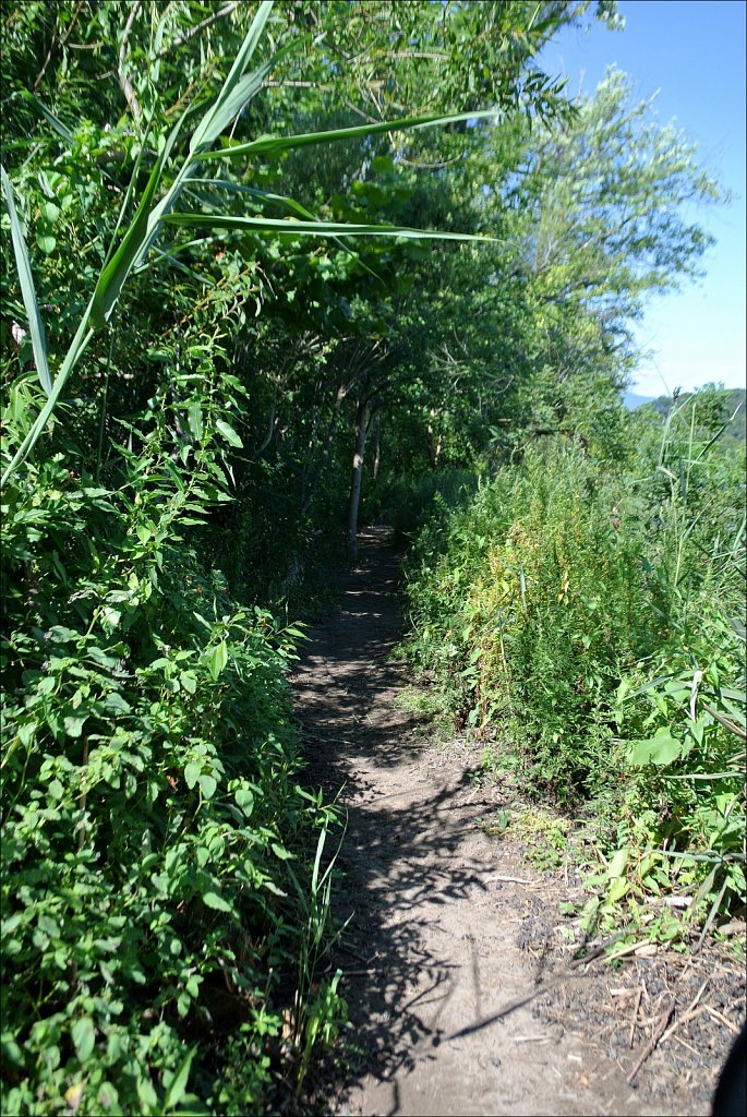 Saugerties Lighthouse & Ruth Reynolds Glunt Nature Preserve