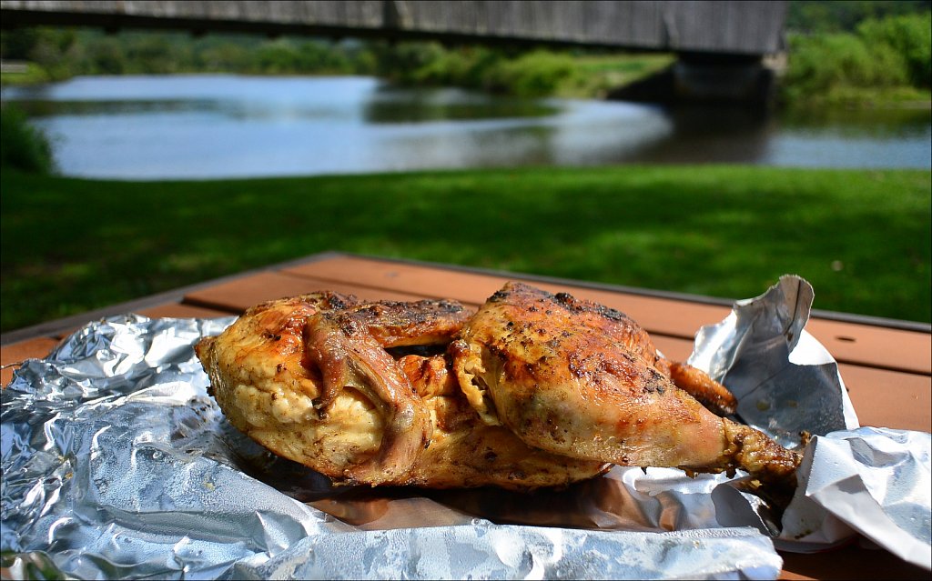 Picnic Time at The Downsville Covered Bridge
