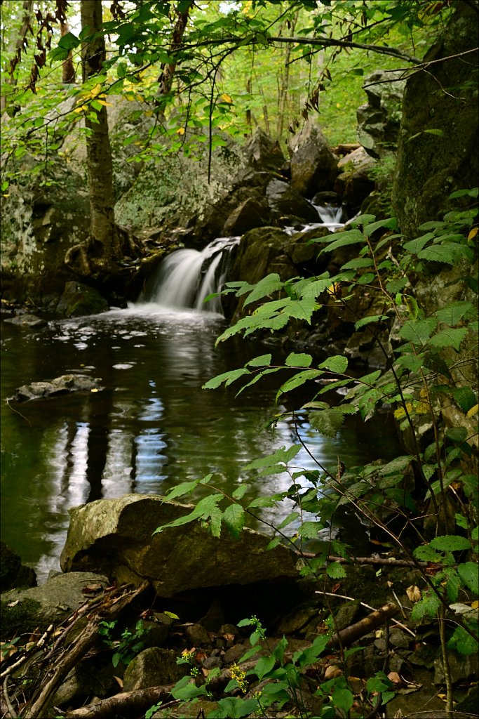 Sussex Branch Trail