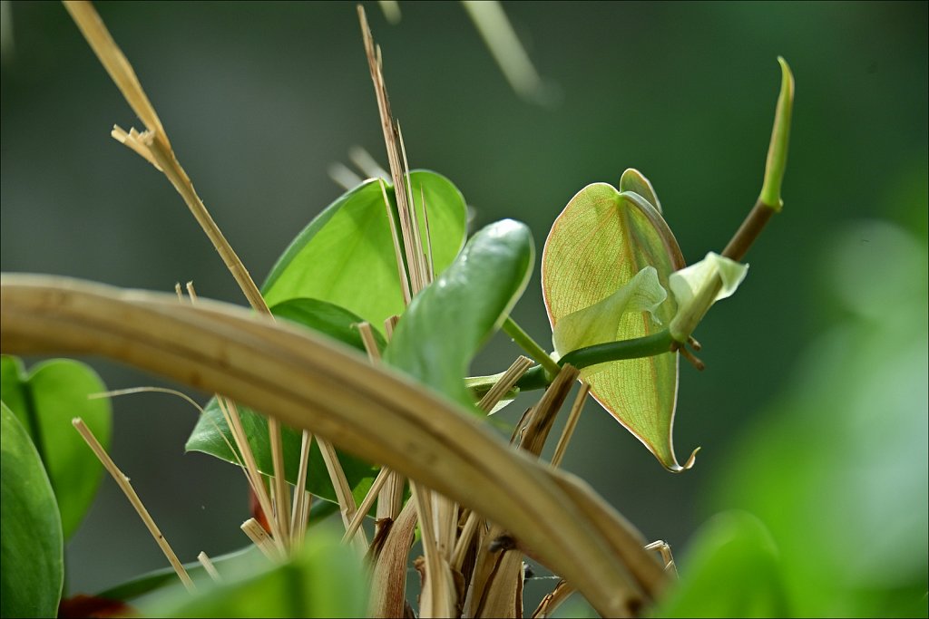 A Visit with Mom and Dad