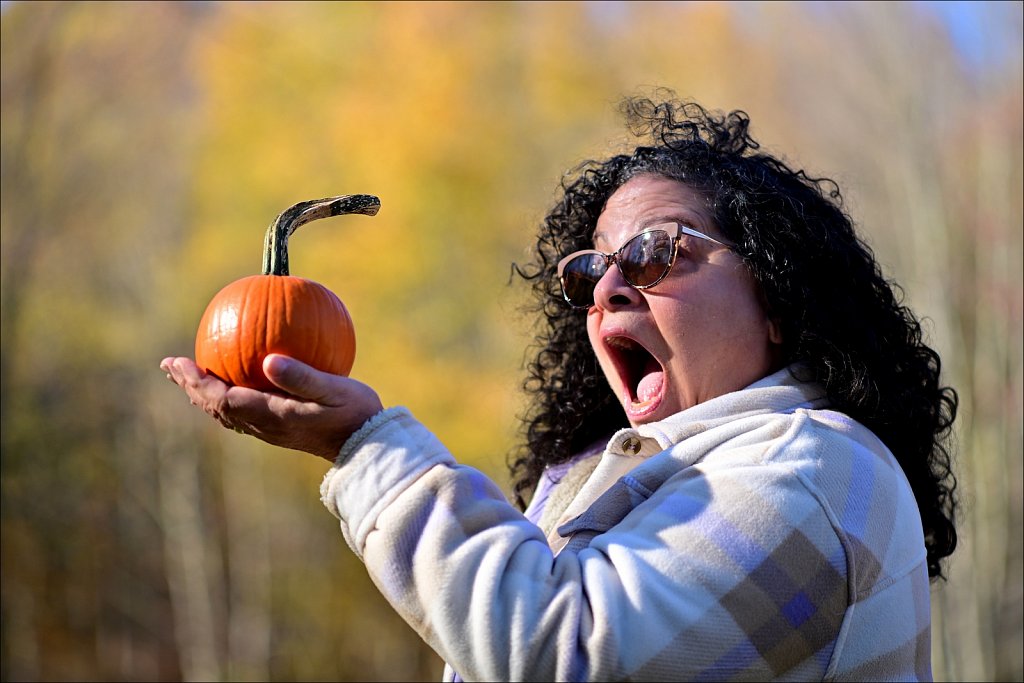 Fall 2025 Upstate NY