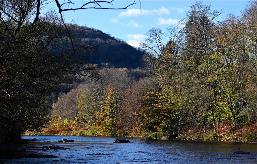 Livingston Manor Covered Bridge