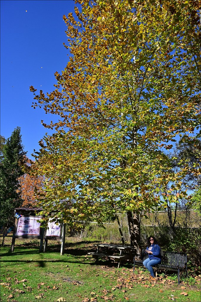 Fall 2025 Upstate NY