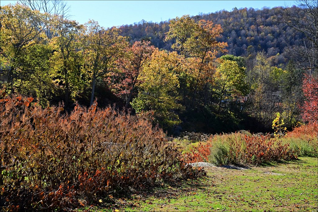 Riverside Park along The Willowemuc 