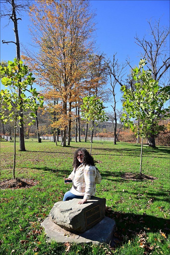 Riverside Park along The Willowemuc 